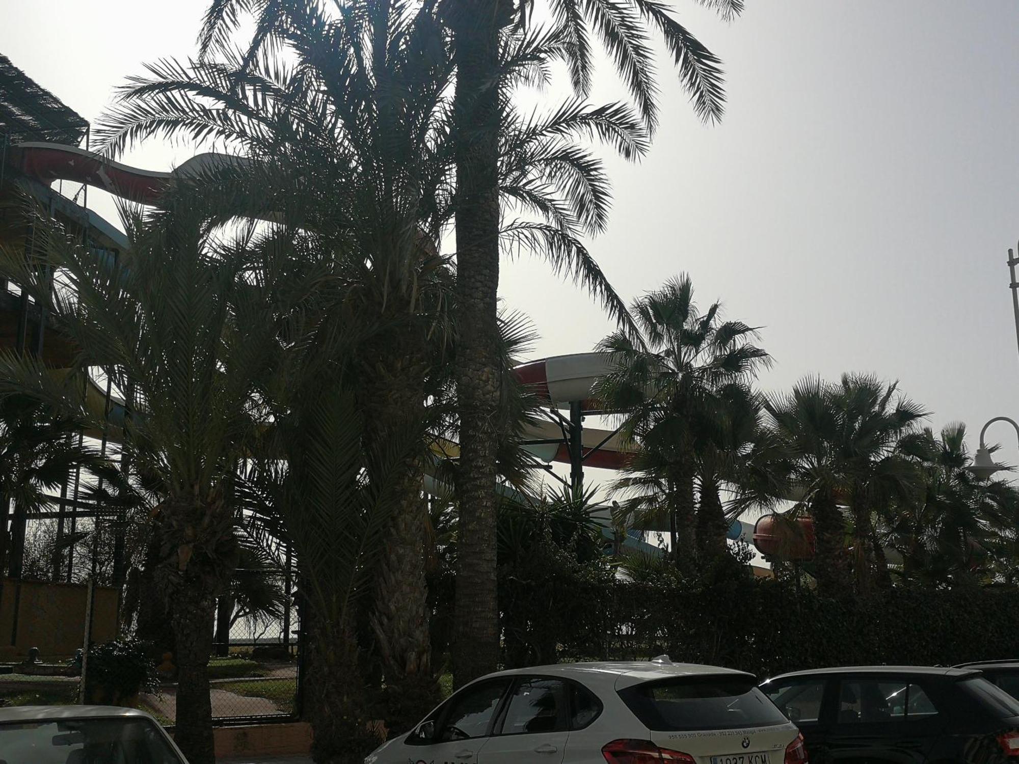 Apartamento Playa Velilla Park II Almuñécar Extérieur photo